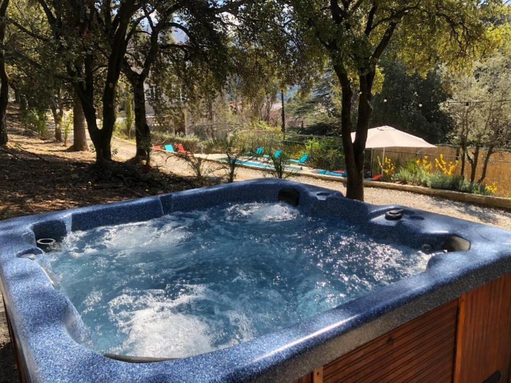 Alojamento de Acomodação e Pequeno-almoço La Viste - Spa-jacuzzi - Massage- Sauna - 4 Saisons - Piscine Chauffee Toute L'annee - Heated Pool - 800m Centre Nyons